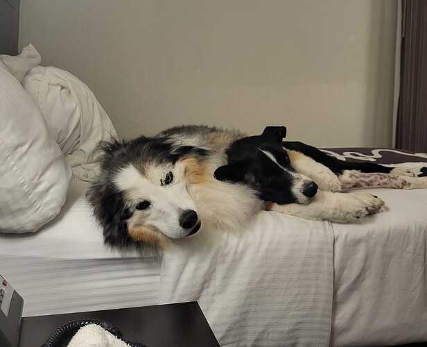 457150236_10224649306561227_7863016630774342133_n